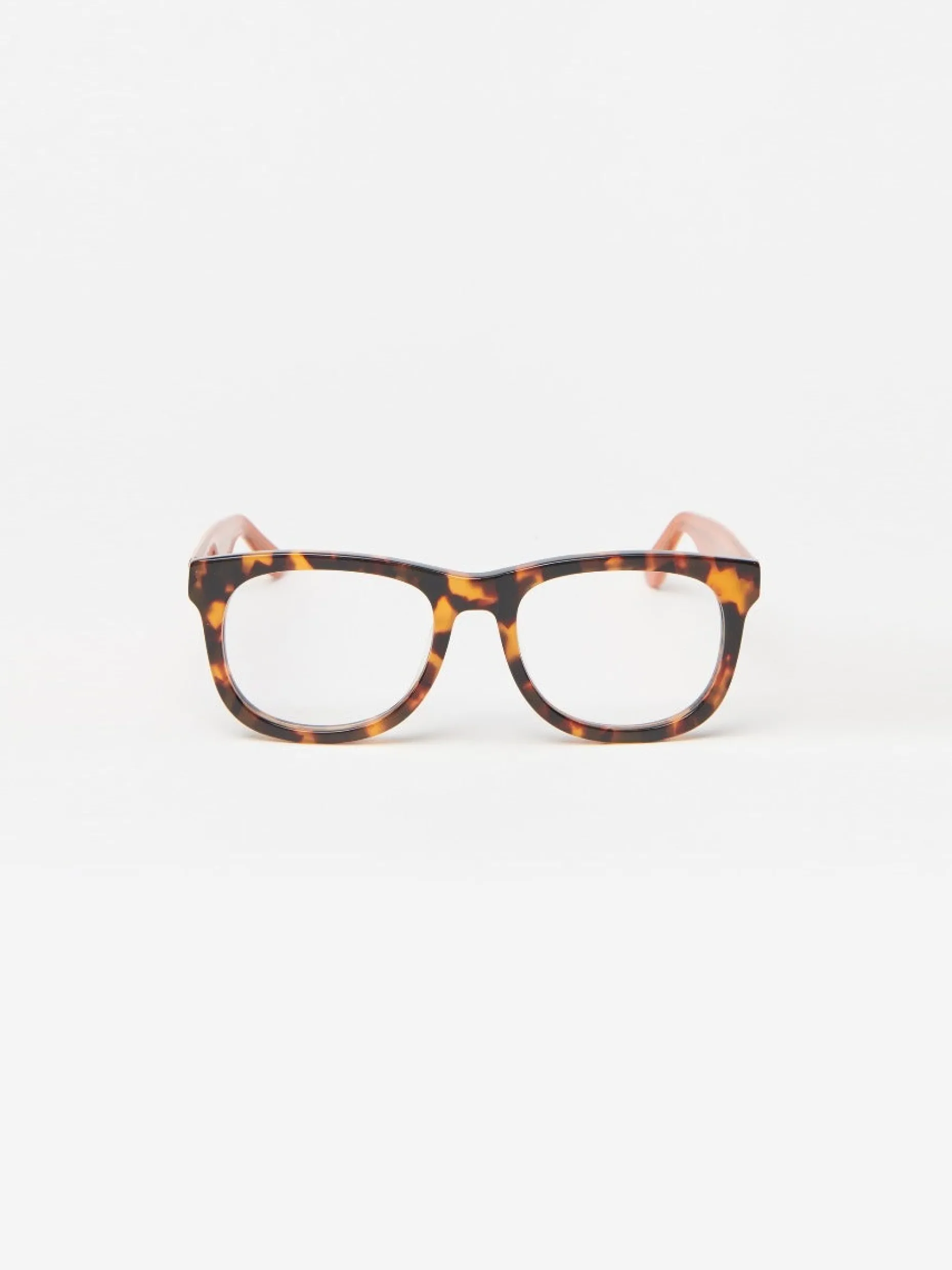 Barlett Readers in Tortoise