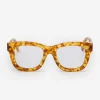 Jeanine Readers in Tortoise