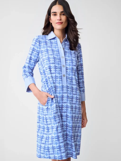 Rollins Dress in Micro Painted Lattice